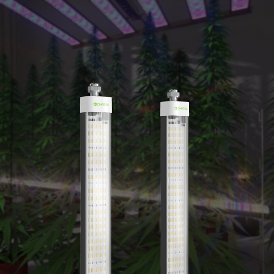 LED Growth Light 8FT 150W