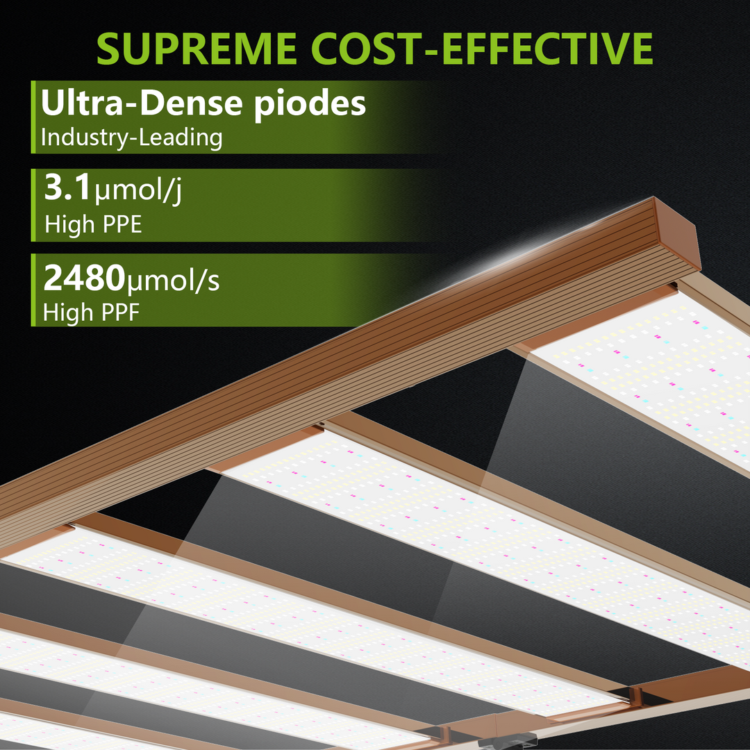FULL SPECTRUM GROW LIGHT 4x6FT 1500W