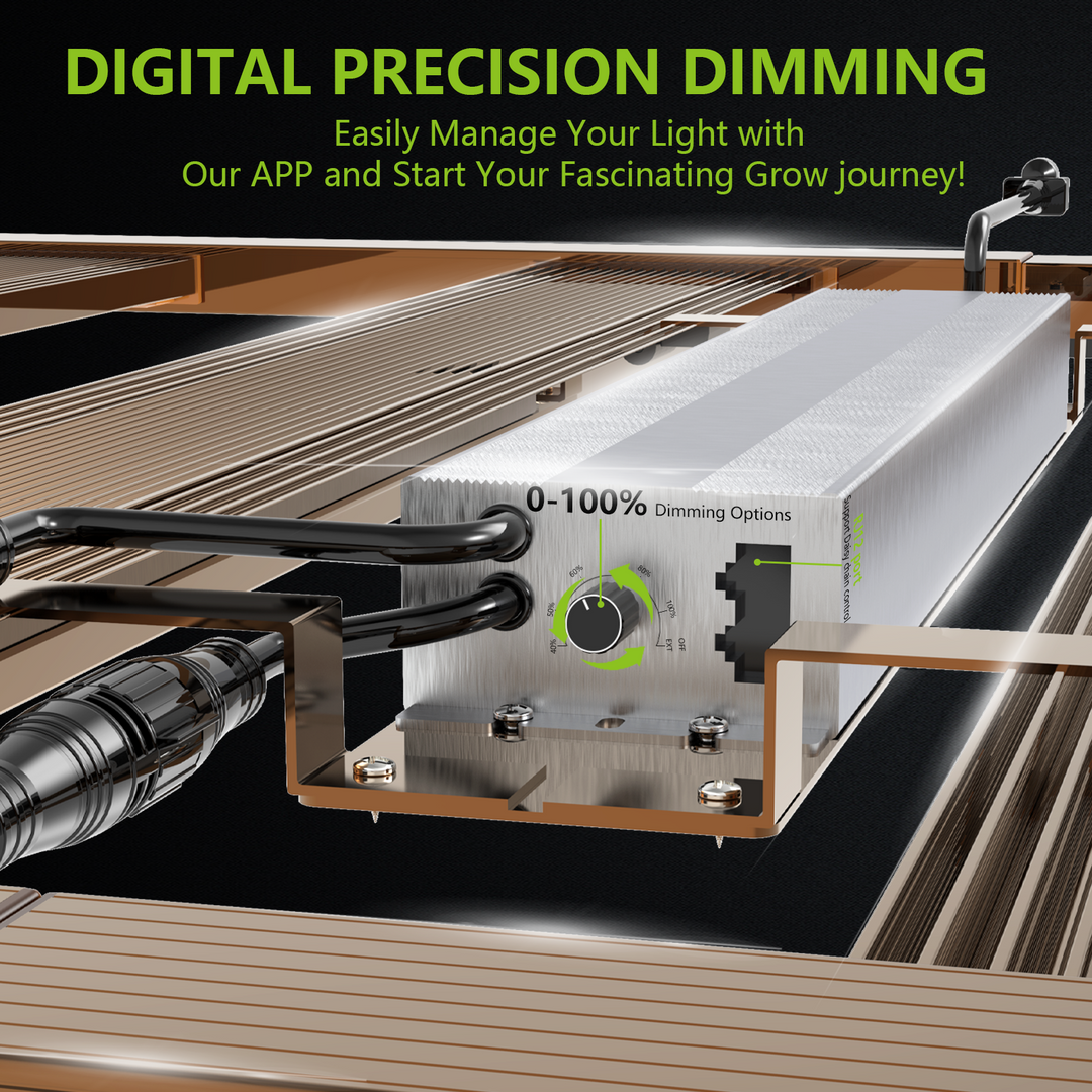 FULL SPECTRUM GROW LIGHT 4x6FT 1500W
