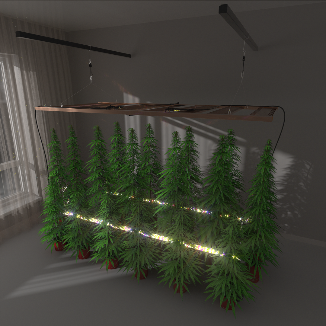 LED Growth Light 8FT 150W
