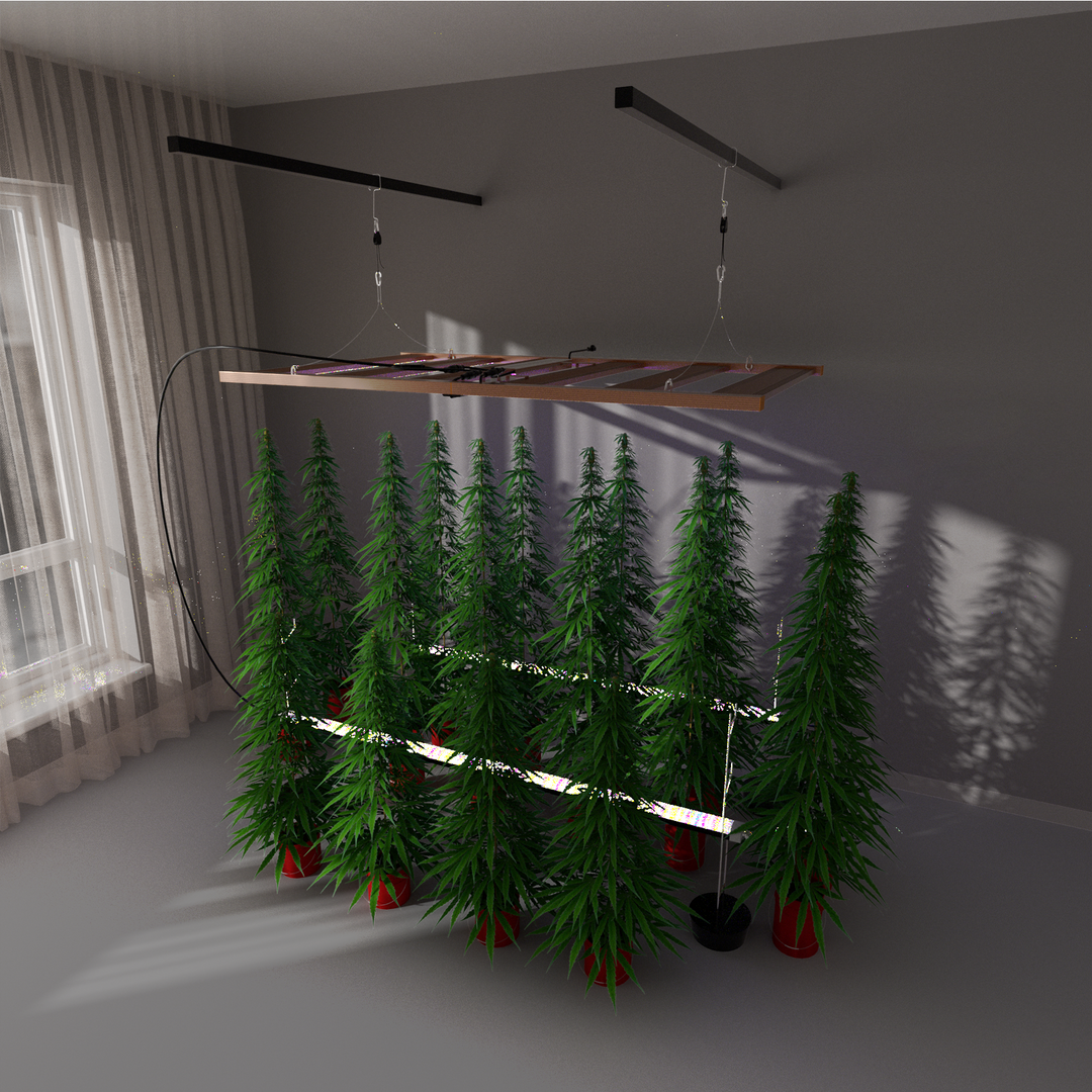 LED Growth Light 6FT 130W