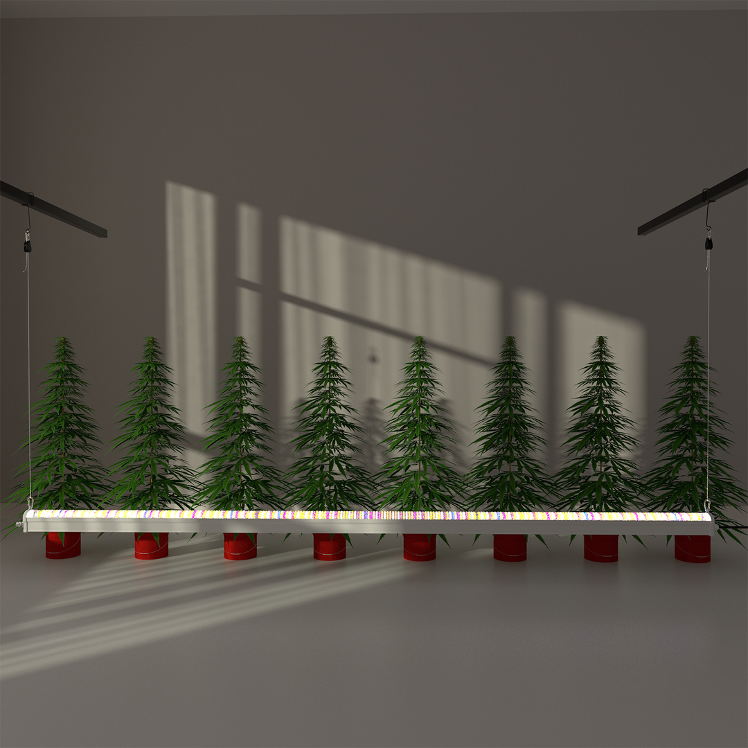 LED Growth Light with Built-in Power 8FT 240W